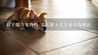 猴子能当宠物吗 买卖猴子买方卖方均犯法