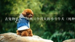 去宠物店买一只两三个月大的小斗牛犬（纯种的，英国的那种）回来还用不用给他打疫苗？宠物店的小狗狗一般都没什么疾病吧？