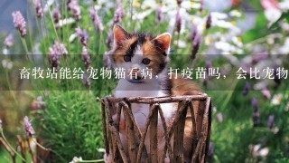 畜牧站能给宠物猫看病，打疫苗吗，会比宠物医院便宜吗