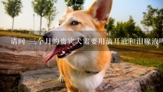 请问 三个月的贵宾犬需要用滴耳液和泪腺液吗？用什么牌子的比较好啊，洗澡的香波用什么牌子的对狗狗的毛好