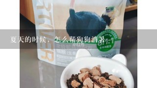 夏天的时候，怎么帮狗狗消暑