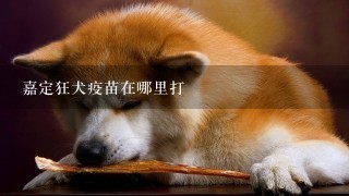 嘉定狂犬疫苗在哪里打