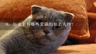 历史上有哪些爱猫的知名人物?