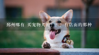 邳州哪有 买宠物犬的？？？有店面的那种