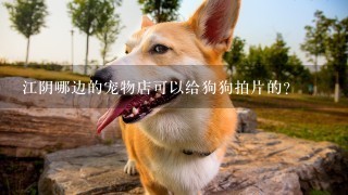 江阴哪边的宠物店可以给狗狗拍片的？