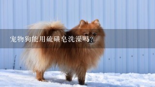 宠物狗能用硫磺皂洗澡吗?