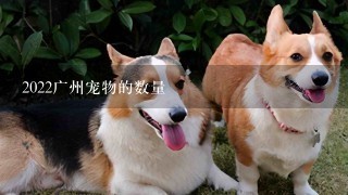 2022广州宠物的数量