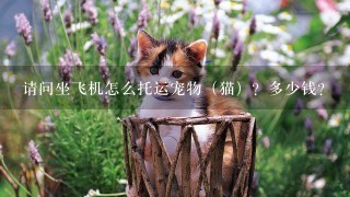 请问坐飞机怎么托运宠物（猫）？多少钱？