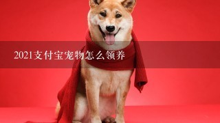 2021支付宝宠物怎么领养