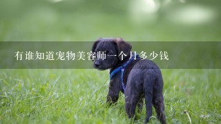 有谁知道宠物美容师一个月多少钱