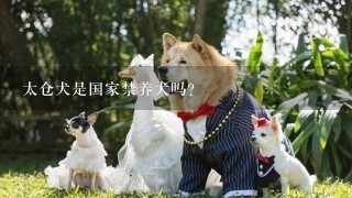 太仓犬是国家禁养犬吗?