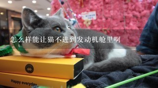 怎么样能让猫不进到发动机舱里啊