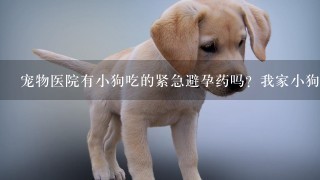 宠物医院有小狗吃的紧急避孕药吗？我家小狗早上出去，被那个了，怎么办？急！！！！