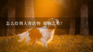 怎么给别人寄活物 猫狗之类？