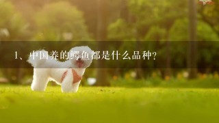 中国养的鳄鱼都是什么品种？