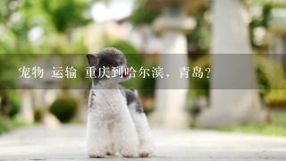 宠物 运输 重庆到哈尔滨，青岛？