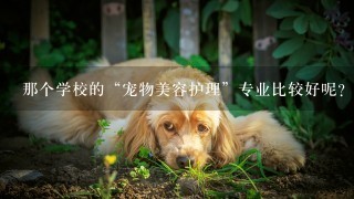 那个学校的“宠物美容护理”专业比较好呢?