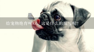 给宠物绝育叫kc，这是什么的缩写呢？