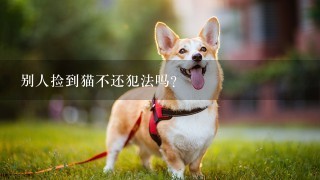 别人捡到猫不还犯法吗？