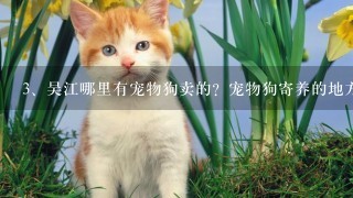 吴江哪里有宠物狗卖的？宠物狗寄养的地方？