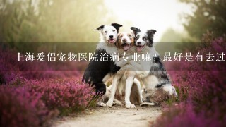 上海爱侣宠物医院治病专业嘛？最好是有去过的给点建议