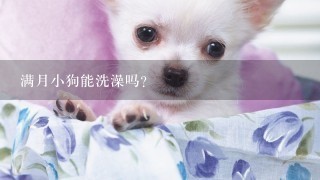 满月小狗能洗澡吗?