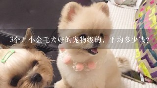 3个月小金毛犬好的宠物级的，平均多少钱？