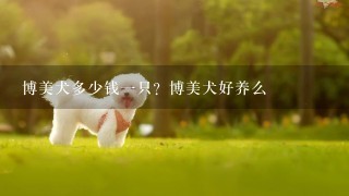 博美犬多少钱一只？博美犬好养么