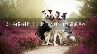 狗狗钙片什么牌子的好?有知道的吗？