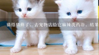 猫得猫藓了，去宠物店给它麻辣洗药浴，结果不小心进眼睛了，眼睛有点睁不开，还有点眼屎怎么办？求救