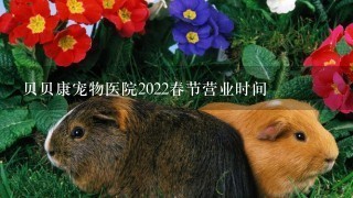 贝贝康宠物医院2022春节营业时间