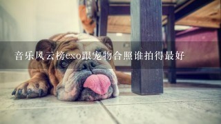 音乐风云榜exo跟宠物合照谁拍得最好