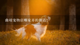 曲靖宠物店哪家弄的好点?