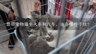 想带宠物猫坐火车和汽车，该办哪些手续？