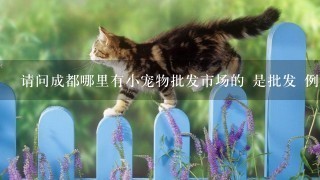 请问成都哪里有小宠物批发市场的 是批发 例如：垂耳兔 仓鼠 龙猫之类的