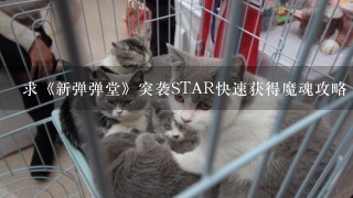 求《新弹弹堂》突袭STAR快速获得魔魂攻略