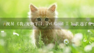 视屏《我,宠物羊 I, Pet Goat II 》表达了什么?