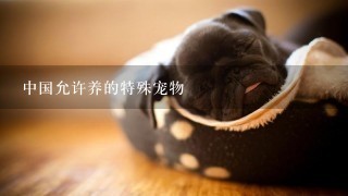中国允许养的特殊宠物