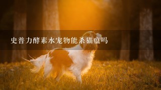 史普力酵素水宠物能杀猫瘟吗