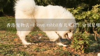 香港宠物店-i love rabbit有几家店？分别是哪里？总