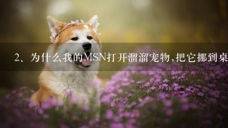 为什么我的MSN打开溜溜宠物,把它挪到桌面上,可桌面