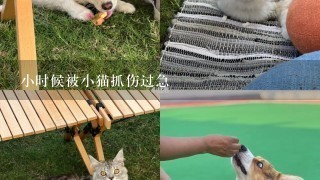 小时候被小猫抓伤过急