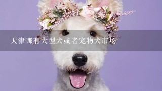 天津哪有大型犬或者宠物犬市场