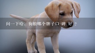 问一下哈，狗粮哪个牌子口 碑 好 ？