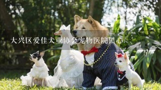 大兴区爱佳犬业协会宠物医院黑心