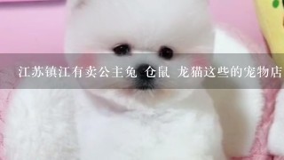 江苏镇江有卖公主兔 仓鼠 龙猫这些的宠物店么