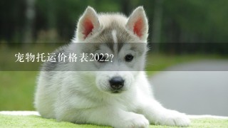 宠物托运价格表2022？