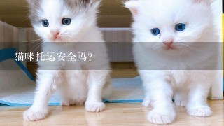 猫咪托运安全吗？