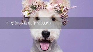 可爱的小乌龟作文300字