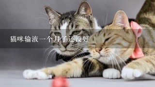 猫咪输液一个月了还没好